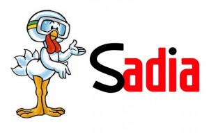 Rh-Sadia-Vagas-de-Emprego-1
